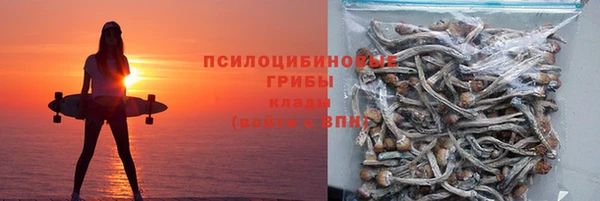 экстази Белокуриха
