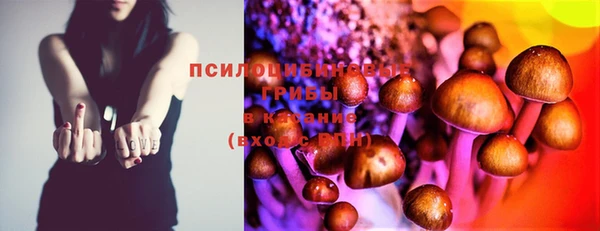 apvp Белоозёрский