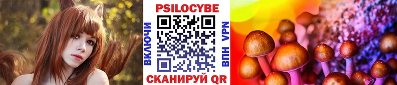 Псилоцибиновые грибы GOLDEN TEACHER  продажа наркотиков  Харабали 