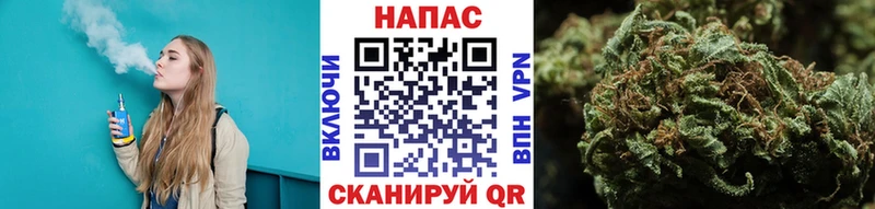 Бошки марихуана планчик  купить наркоту  Харабали 